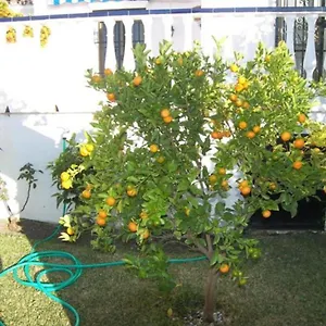 Capistrano1 Сasa de vacaciones Nerja